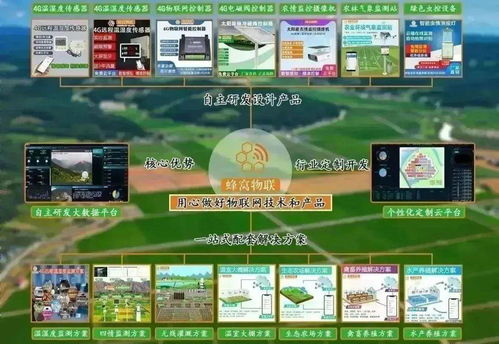 四情監測系統助力三明沙縣智慧茶園科學管控，提產增效